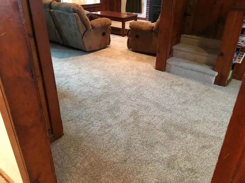 Same living room with new light gray wall-to-wall carpet