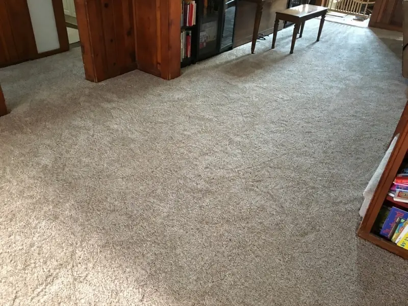 Back of the same living room with new wall-to-wall carpet